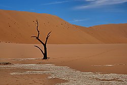 Death Valley - Bernhard Saalfeld